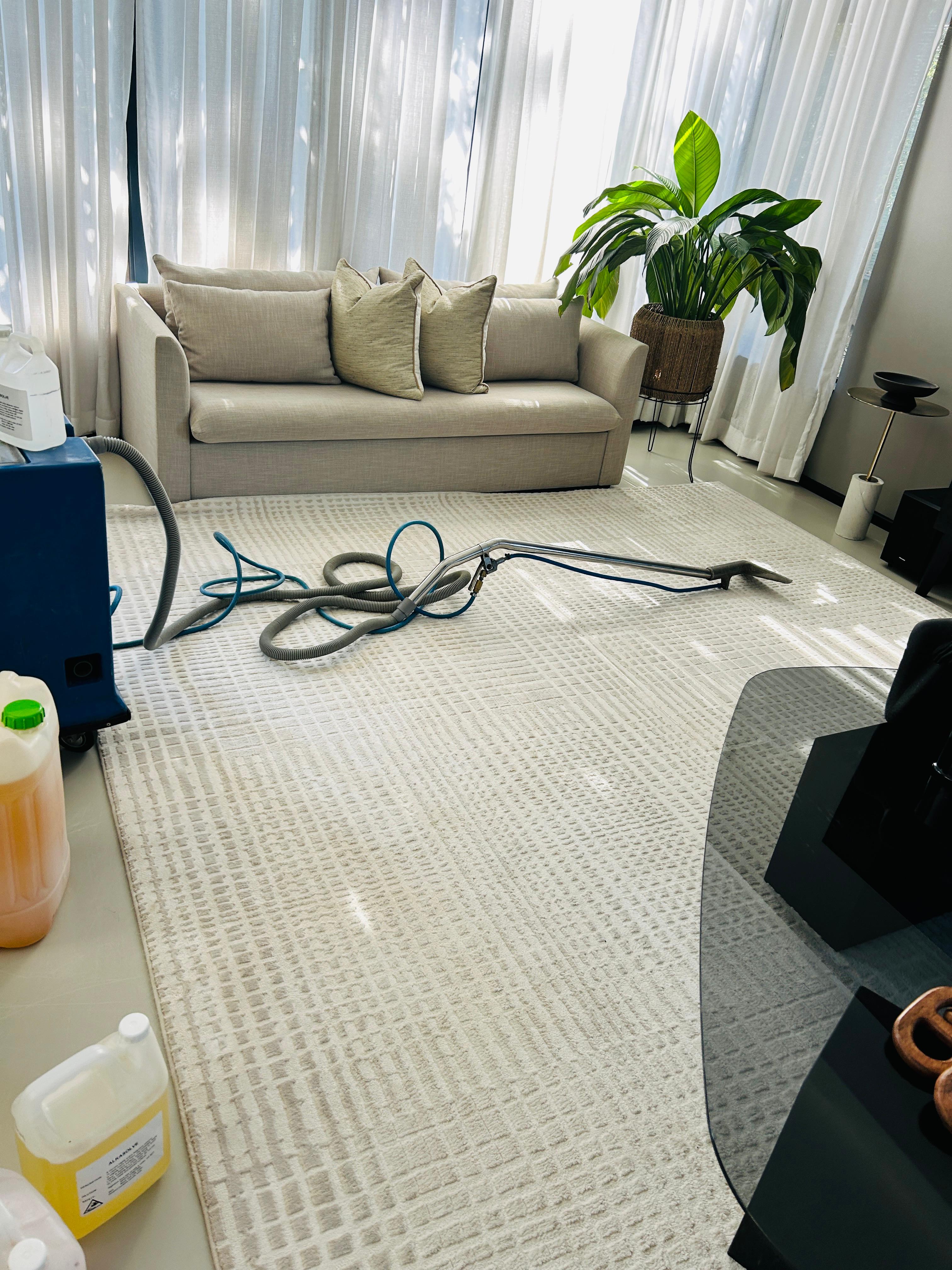 Carpet cleaning in progress